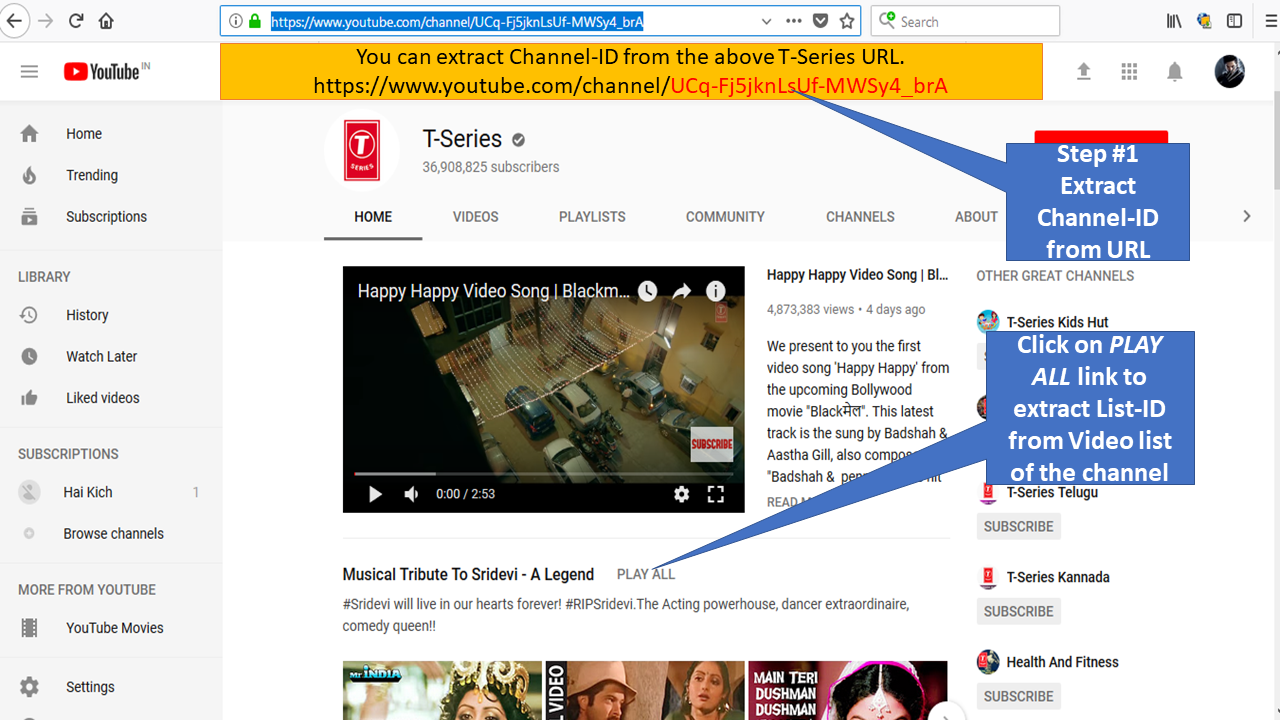 Extract Channel-ID from YouTube Channel to block specific YouTube channel