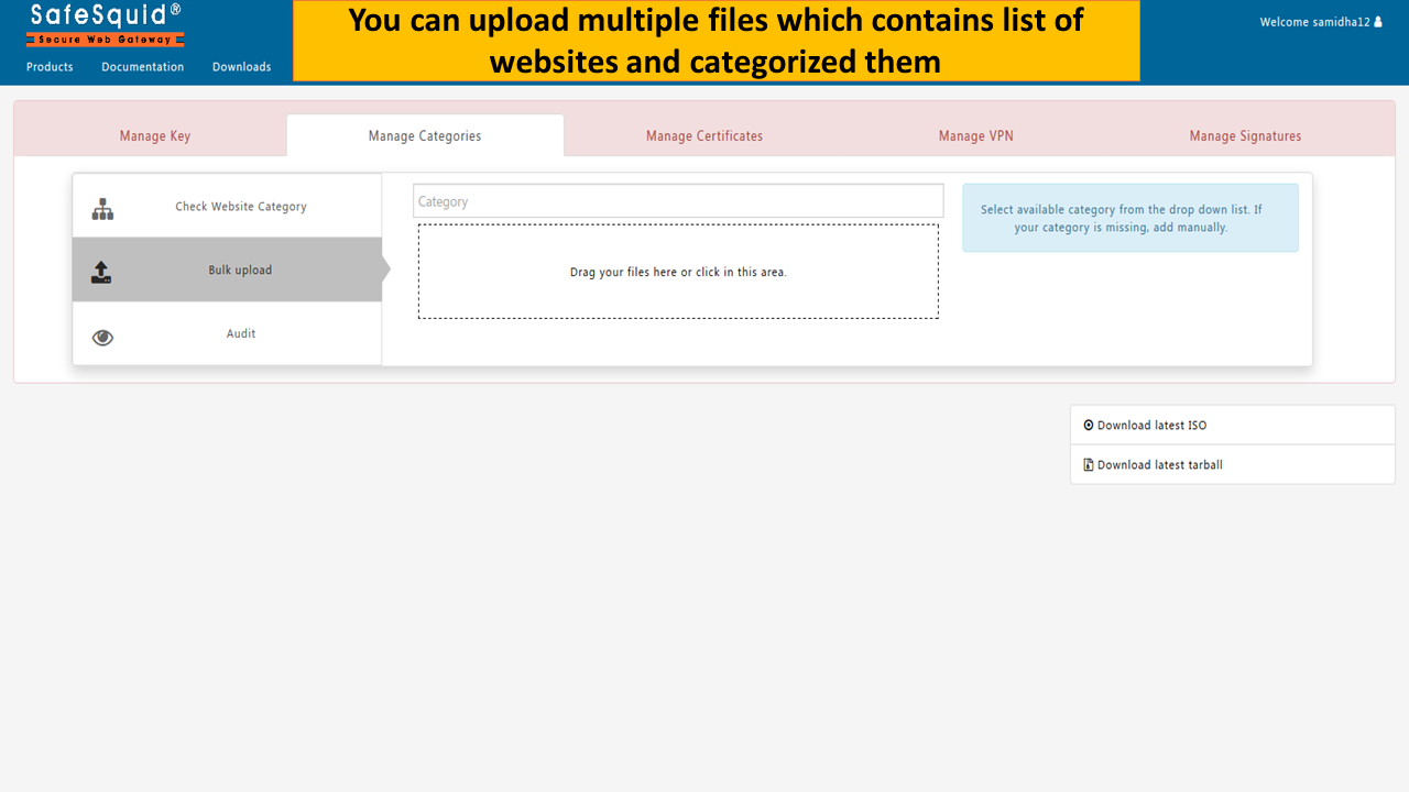 you can upload multiple files which contains list of websites and categorized them in bulk upload