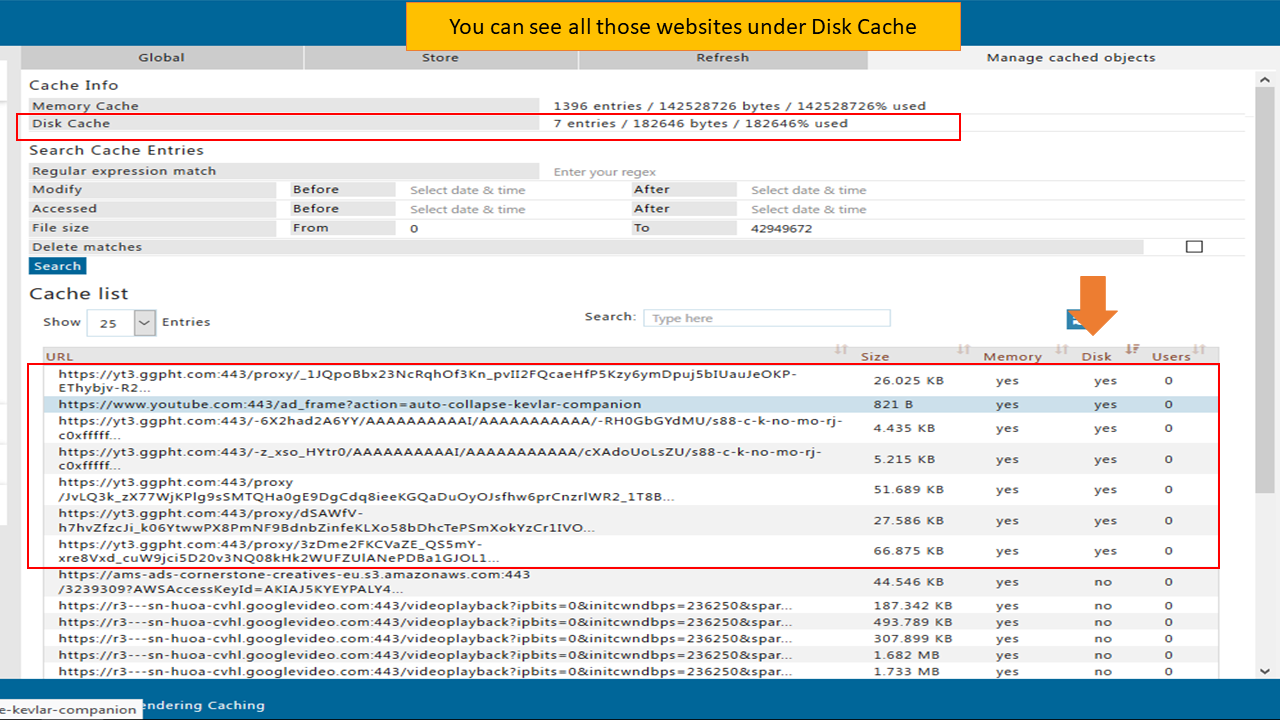 it will show all those websites under disk cache 