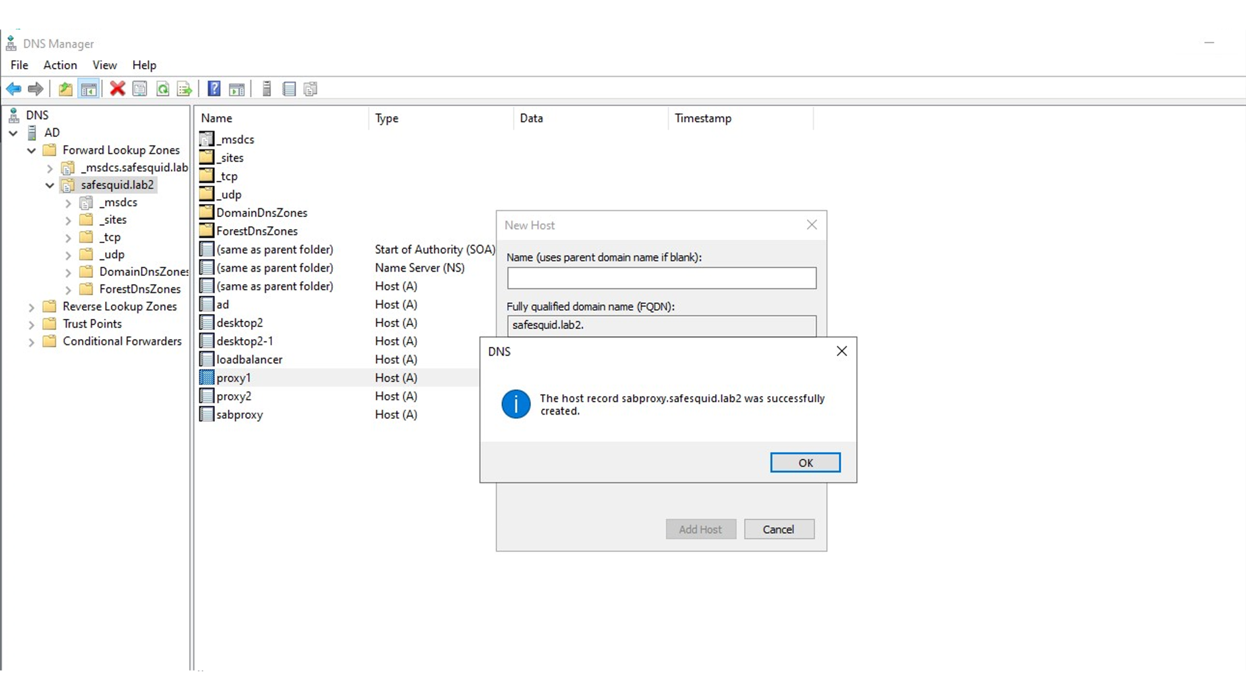 Confirmation of Proxy Sever successfully add  to add safesquid server DNS entry in Active Directory