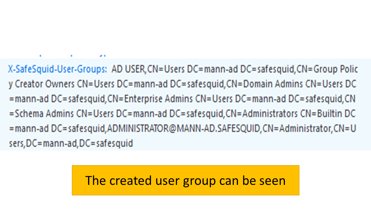 Confirmation of  User Group in the network setting of  Browser to apply manual proxy configuration  