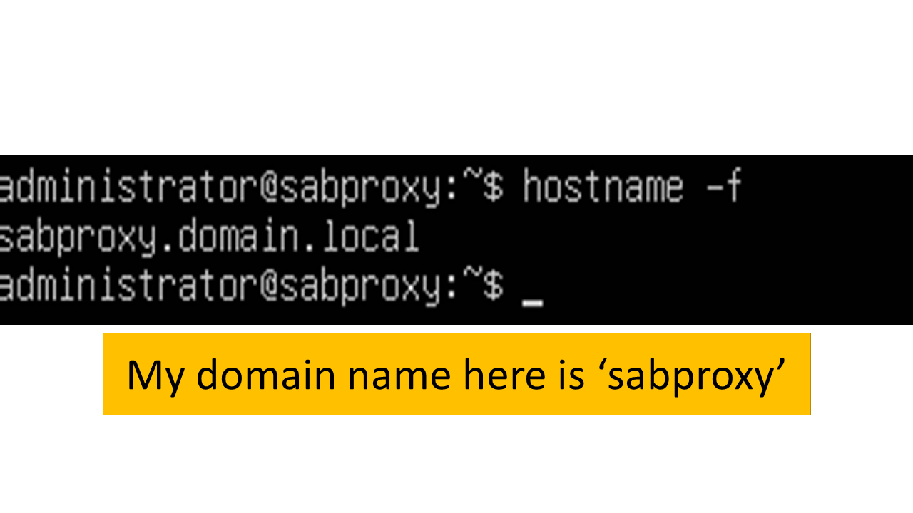 Add Domain name by selecting New Host option for Kerberos SSO Authentication Setup