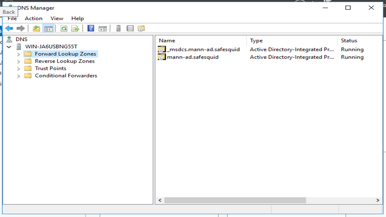 Click on Forward Lookup Zones Kerberos SSO Authentication Setup