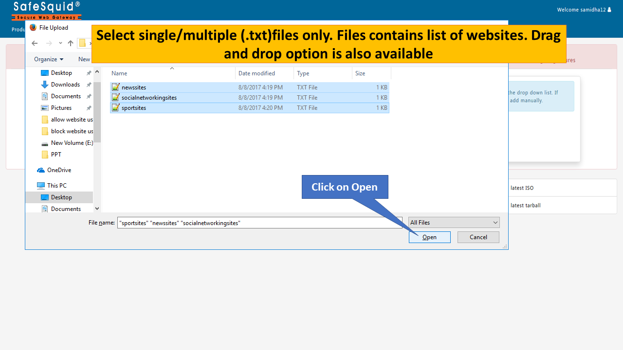 selecting single or multiple .txt files which contains list of websites