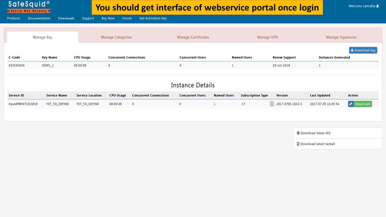 showing interface of self service portal