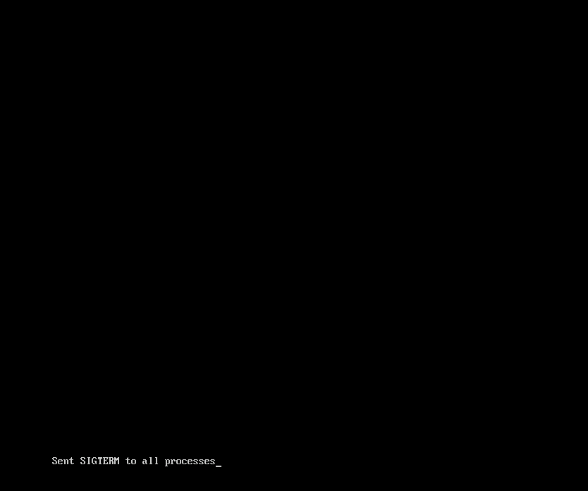 At the end, the system will reboot itself and goes through some system initialization