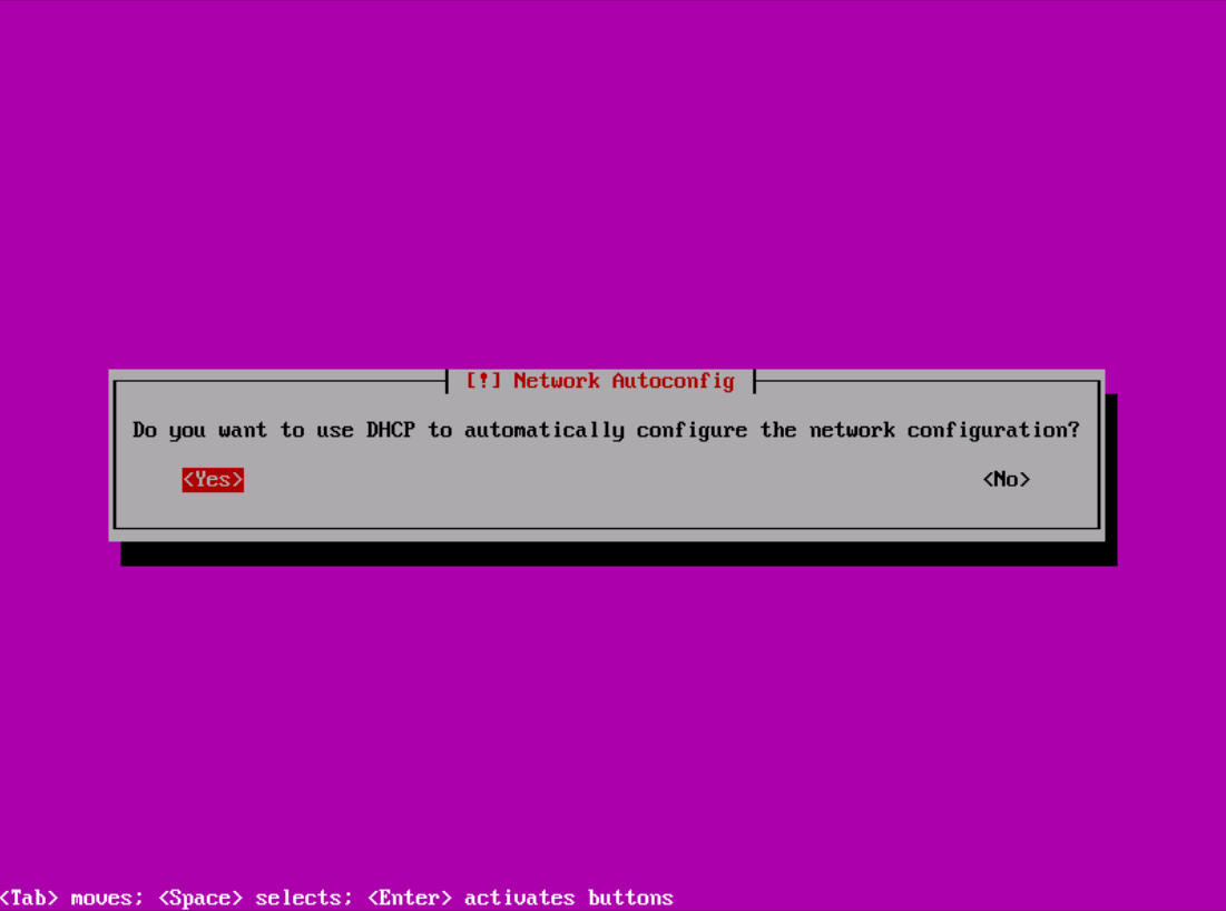 showing network autoconfig yes or no option if you want to use DHCP to automatically configure the network configuration