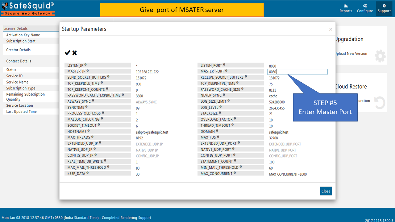 Give port of master sever in master port entry in startup parameters