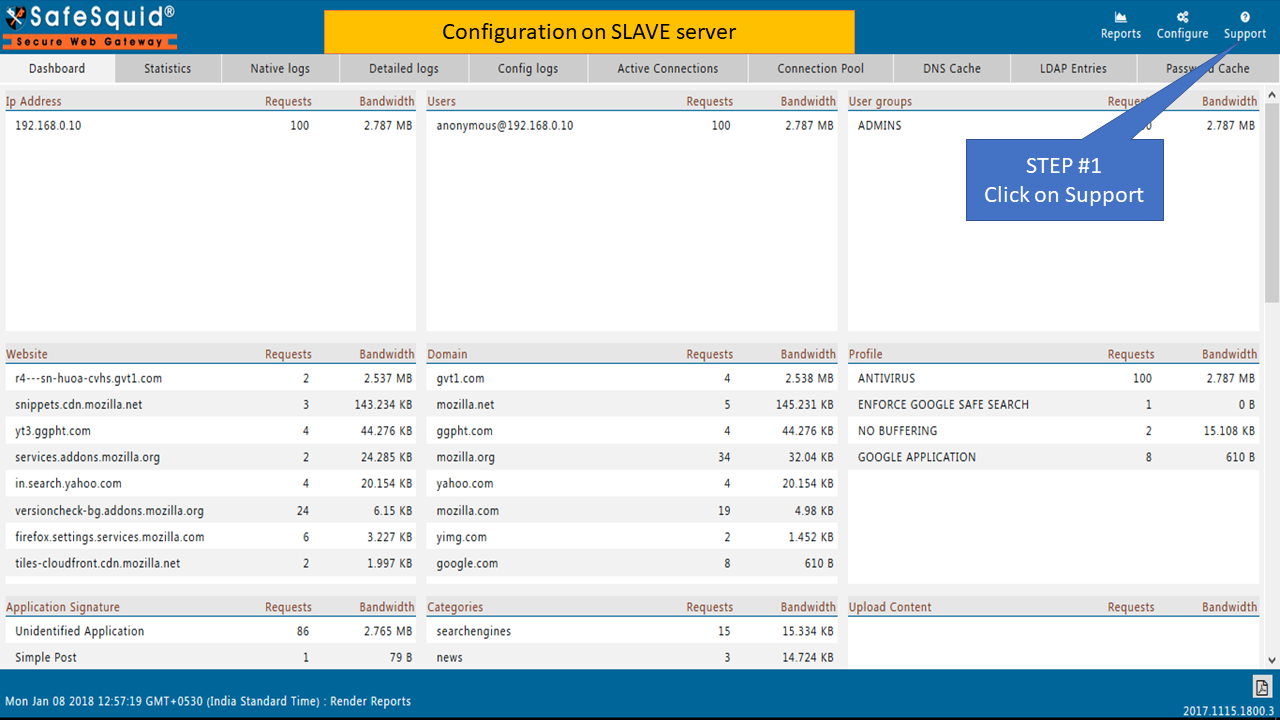 Select Support section to verify the Master Slave configuration