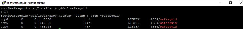 testing whether the Safesquid service is running or not