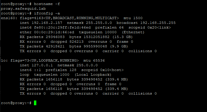 cheching the hostname and IP address of your proxy server 