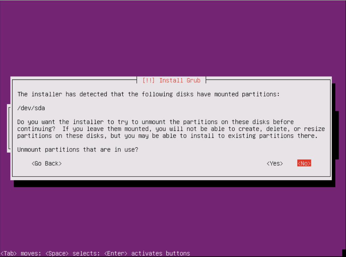 selecting no when asked to unmount partitions that are in use