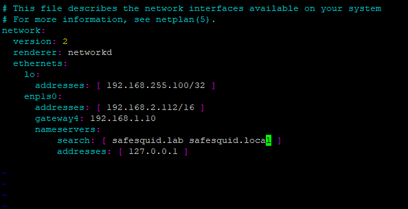 adding multiple domains in netplan file