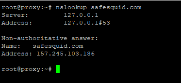 checking the DNS server SafeSquid is using for name resolution