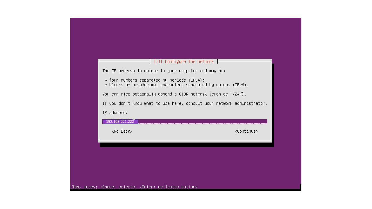 Assigning IP address to the primary interface