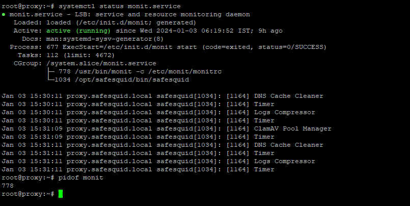 checking the status of monit service