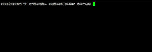 restarting the bind9 service 