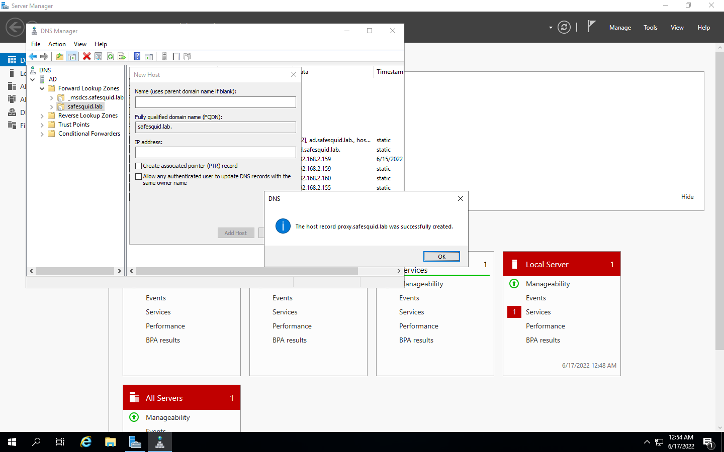 showing host record proxy successfully created