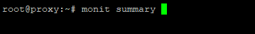 showing command monit summary