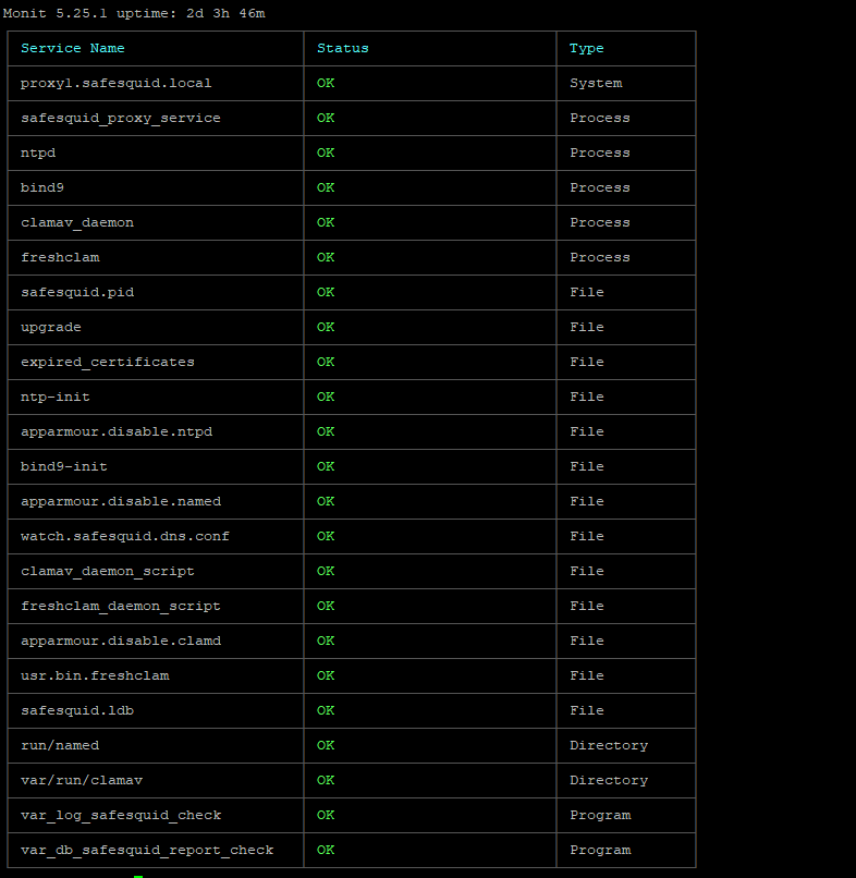 monit summary file showing