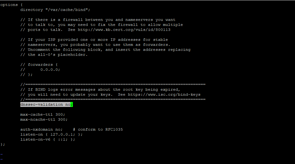 editing and entering no in dnssec-validation value