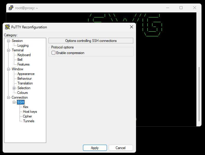 expansion of ssh settings