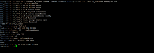 showing successful scenario of openssl command