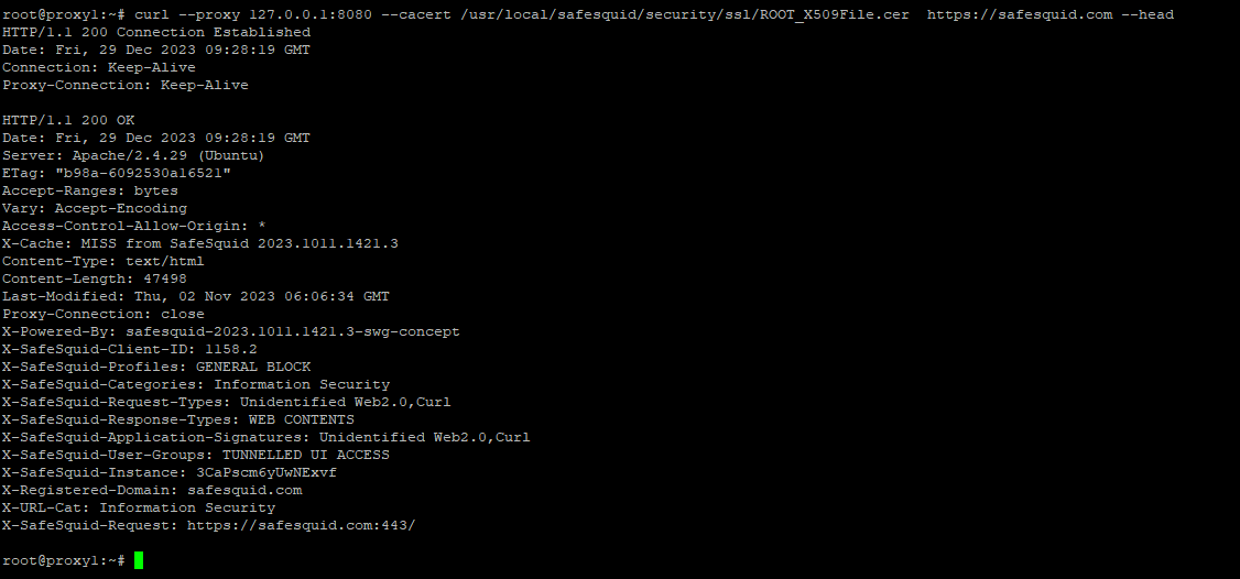 showing successful scenario of curl output with proxy enabled